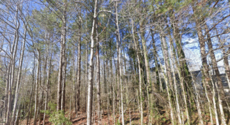 Great .35-acre lot in Onslow County!