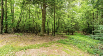 🏡 Nice 0.74-acre Lot in Buncombe County at Avery Park!