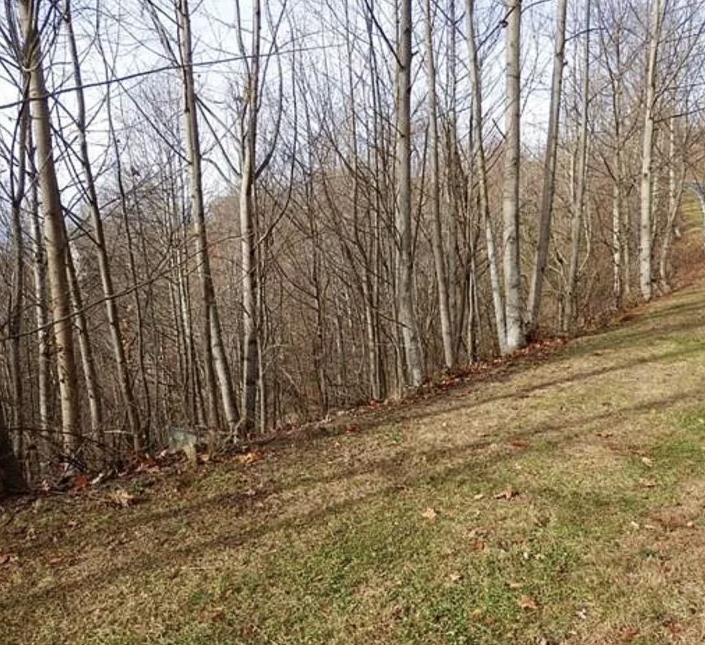 Vacant Lot in Hendersonville, NC